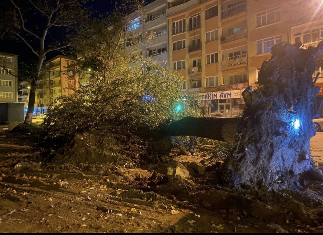Bursa’da şiddetli lodos ağaç devirdi.